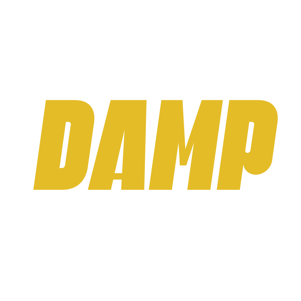 Damp 
